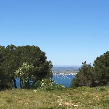 Avec Loggia A 350m Des Plages - Fr-1-338-175 Apartament *